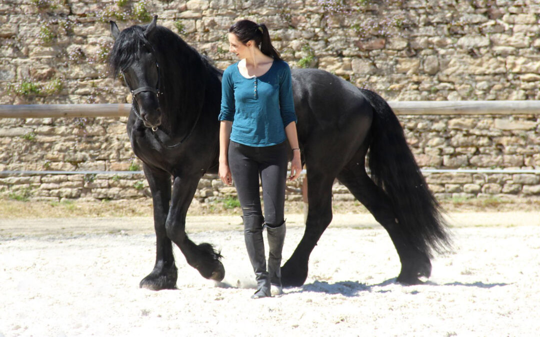 La voix : pourquoi et comment parler aux chevaux ?