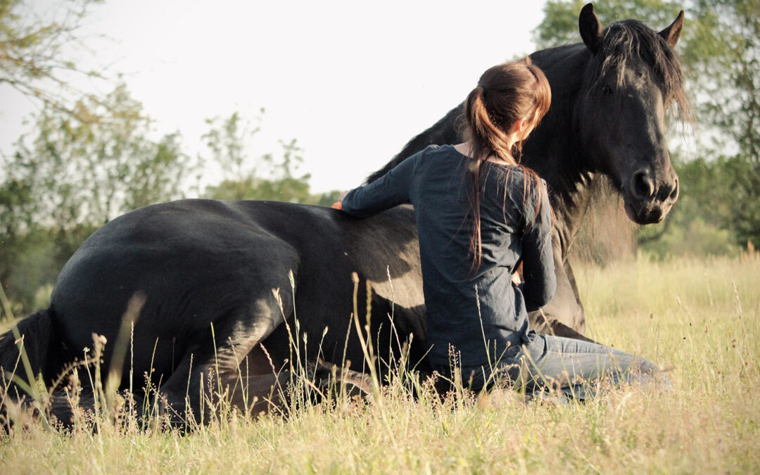 Le Cheval et le temps des apprentissages