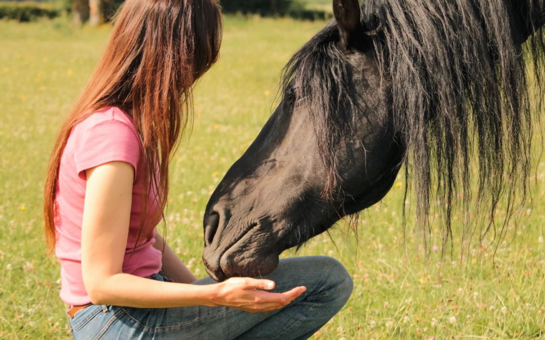 Vous souhaitez un cheval « connecté », mais vous ? L’êtes-vous vraiment ?