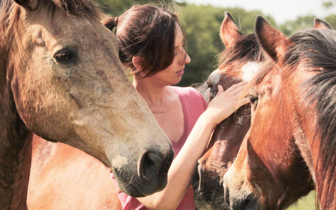 « Mon cheval ne respecte pas ma bulle… »