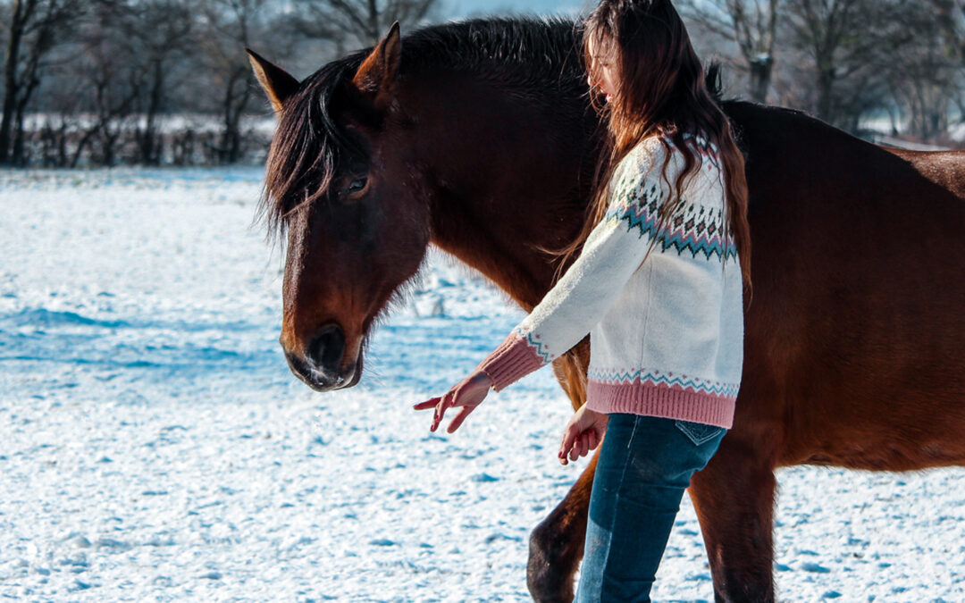 Comprendre son corps pour mieux communiquer avec son cheval