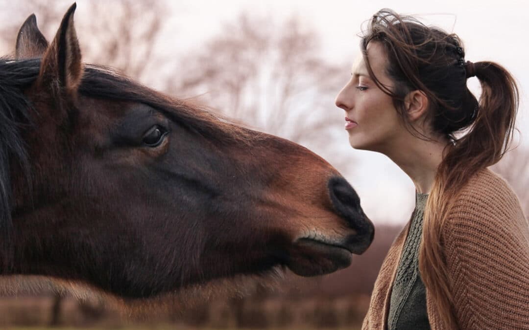 « Qu’est-ce que cela apporte à mon cheval? » 